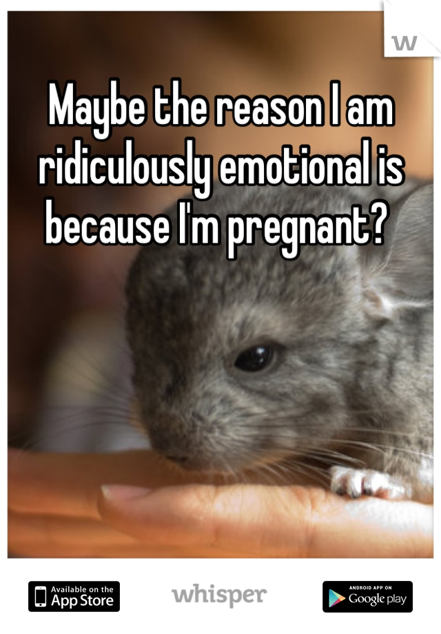 Maybe the reason I am ridiculously emotional is because I'm pregnant? 