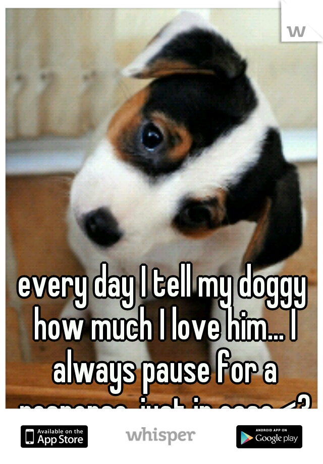 every day I tell my doggy how much I love him... I always pause for a response, just in case <3