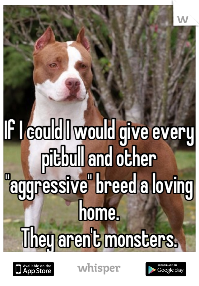 If I could I would give every pitbull and other "aggressive" breed a loving home.
They aren't monsters.