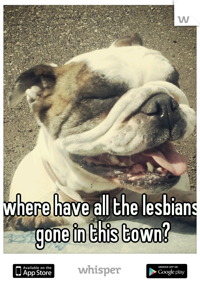 where have all the lesbians gone in this town?