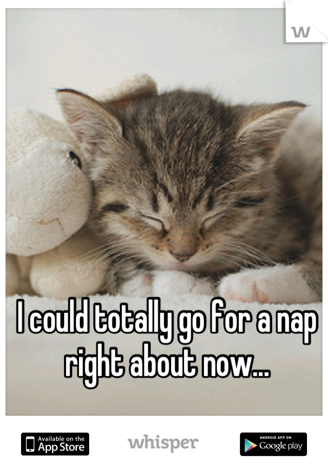 I could totally go for a nap right about now...