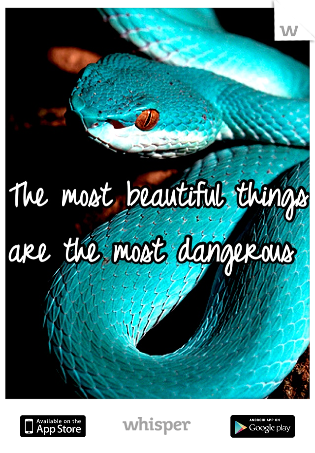 The most beautiful things are the most dangerous 