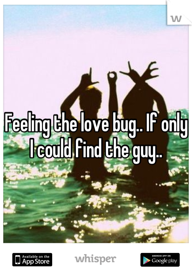 Feeling the love bug.. If only I could find the guy..