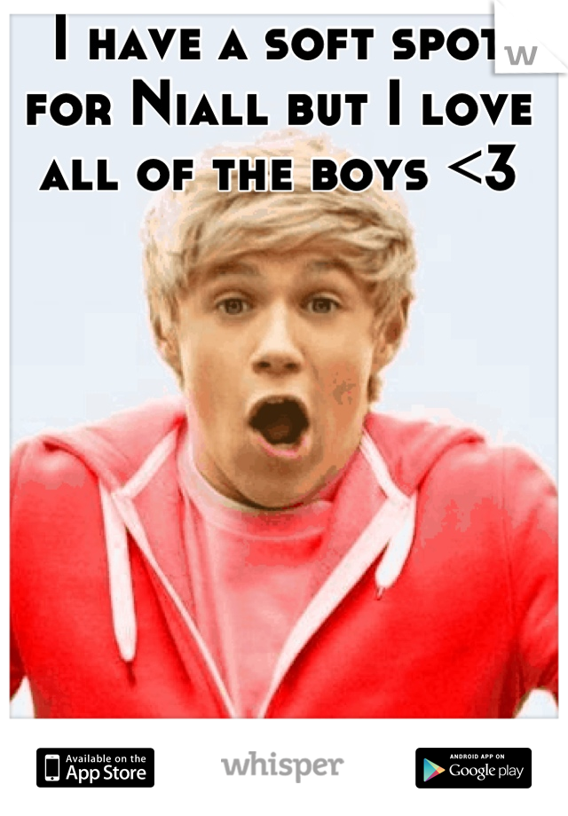 I have a soft spot for Niall but I love all of the boys <3