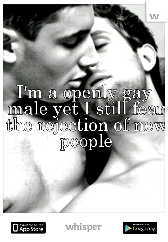 I'm a openly gay male yet I still fear the rejection of new people