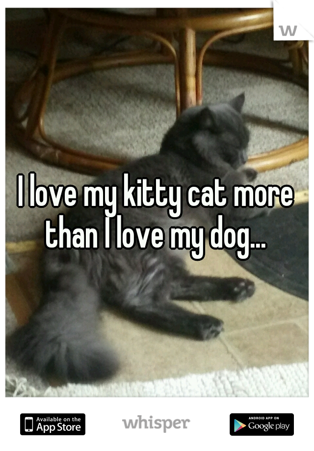 I love my kitty cat more than I love my dog... 