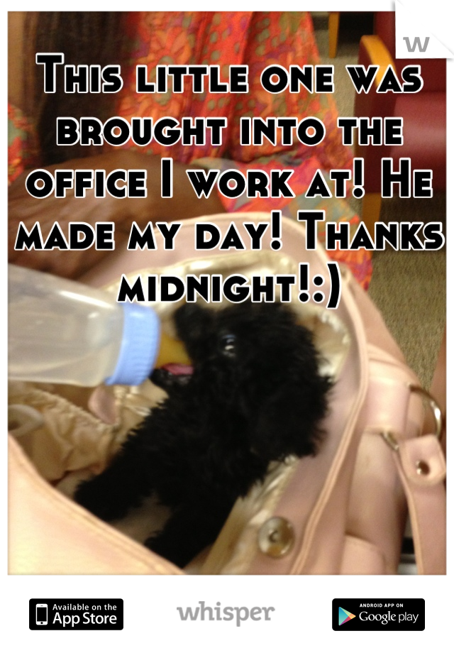 This little one was brought into the office I work at! He made my day! Thanks midnight!:)