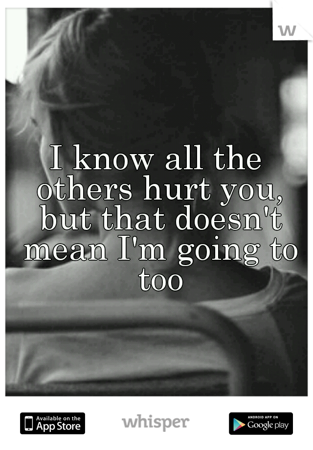 I know all the others hurt you, but that doesn't mean I'm going to too