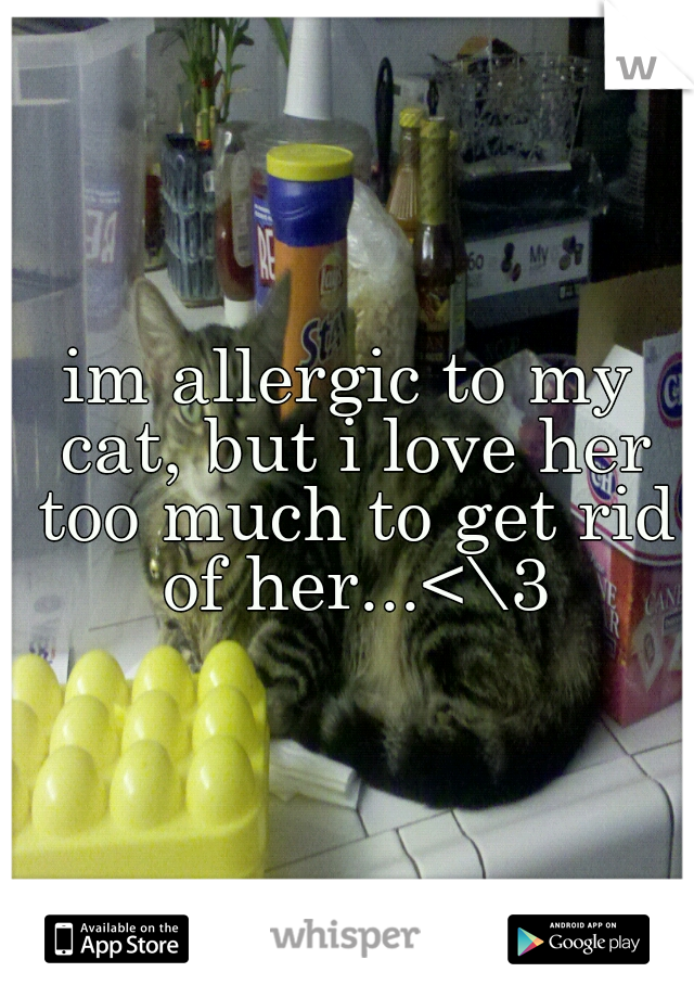 im allergic to my cat, but i love her too much to get rid of her...<\3