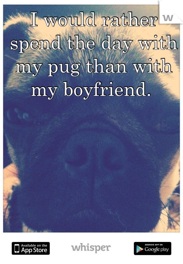 I would rather spend the day with my pug than with my boyfriend. 