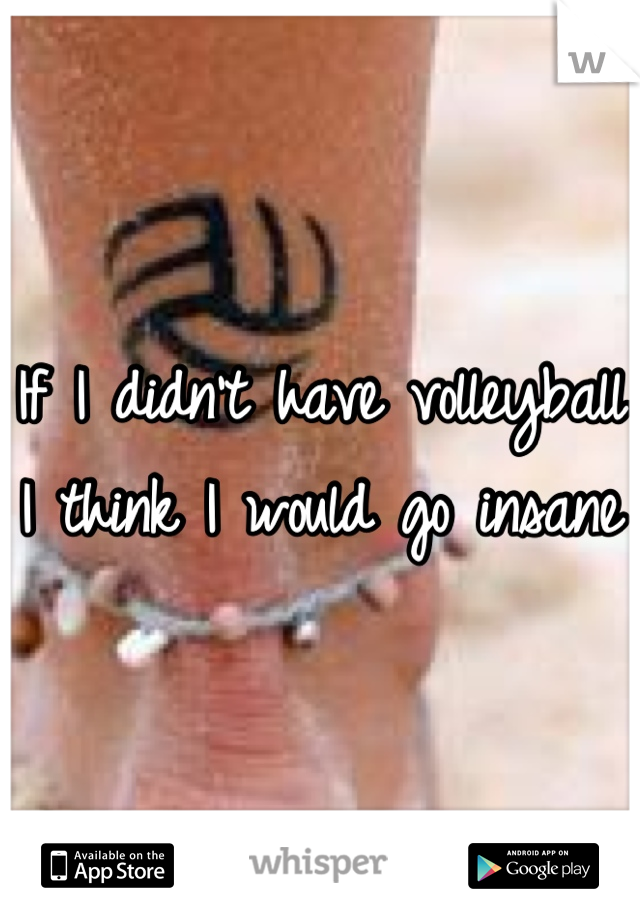 If I didn't have volleyball I think I would go insane 