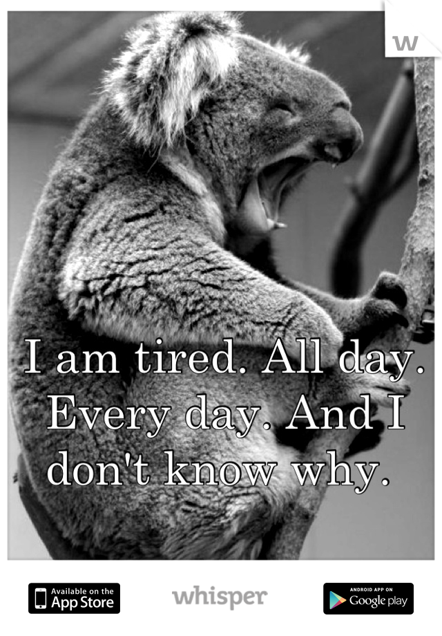 I am tired. All day. Every day. And I don't know why. 