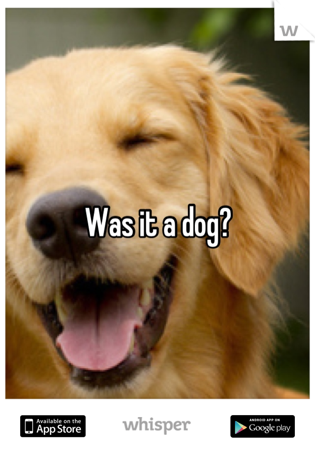 Was it a dog?
