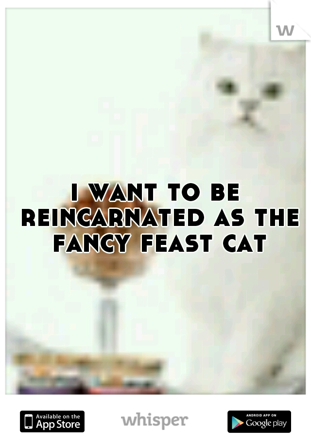 i want to be reincarnated as the fancy feast cat