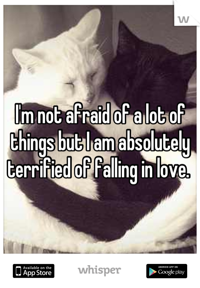 I'm not afraid of a lot of things but I am absolutely terrified of falling in love. 