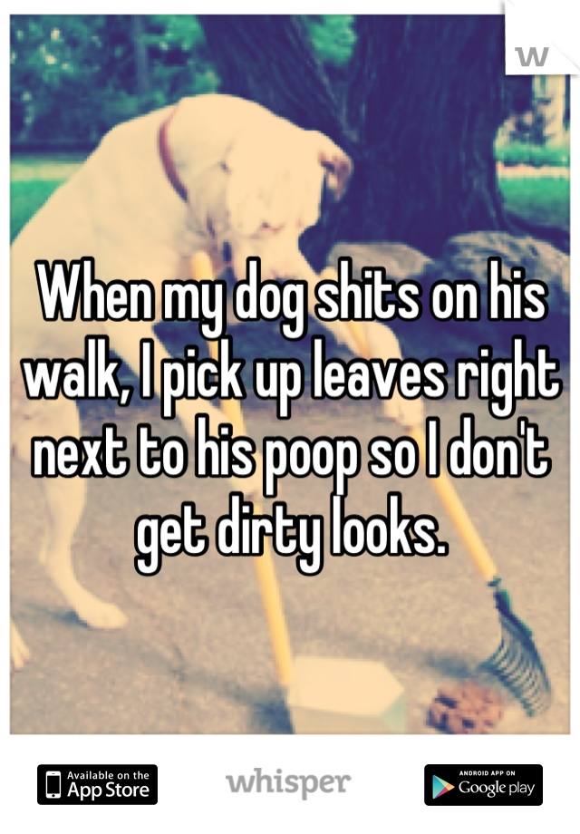 When my dog shits on his walk, I pick up leaves right next to his poop so I don't get dirty looks.