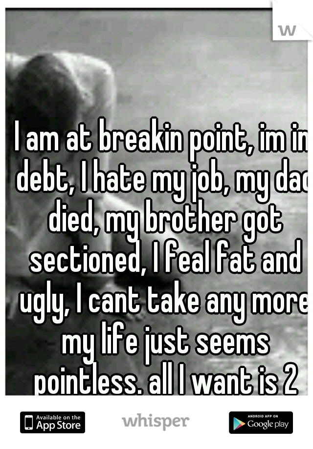 I am at breakin point, im in debt, I hate my job, my dad died, my brother got sectioned, I feal fat and ugly, I cant take any more my life just seems pointless. all I want is 2 have sum1 care 4 me 4 m