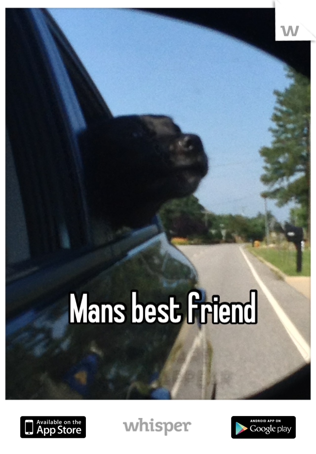 Mans best friend