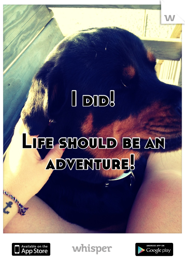 I did!

Life should be an adventure! 