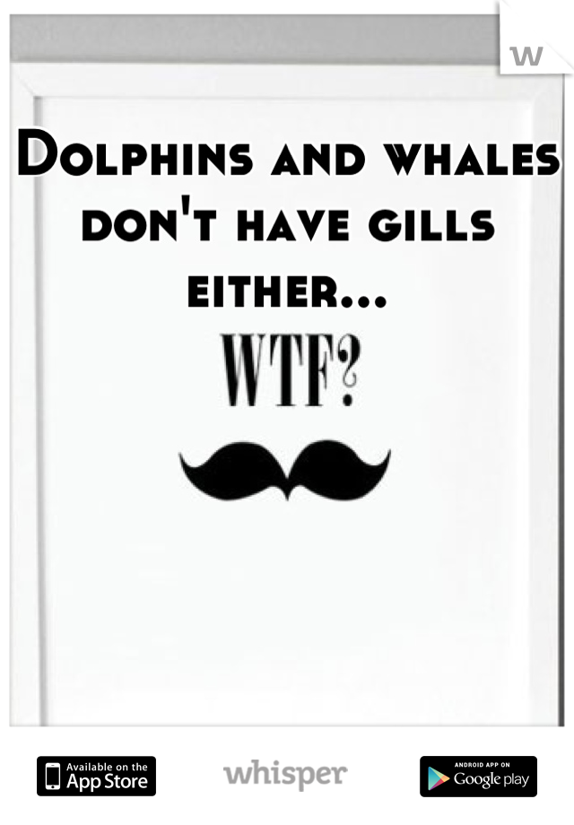 Dolphins and whales don't have gills either...