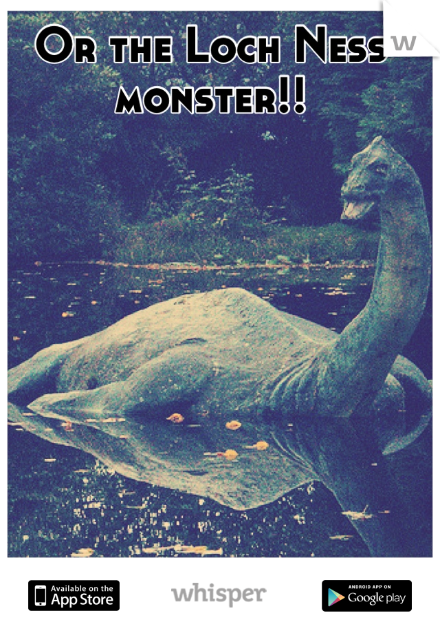 Or the Loch Ness 
monster!!
