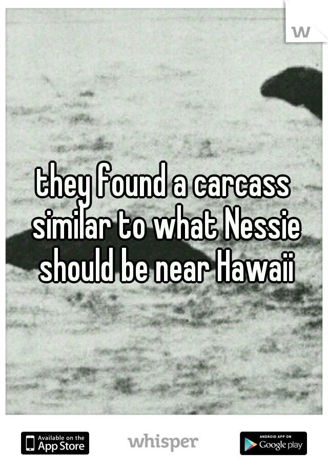 they found a carcass similar to what Nessie should be near Hawaii