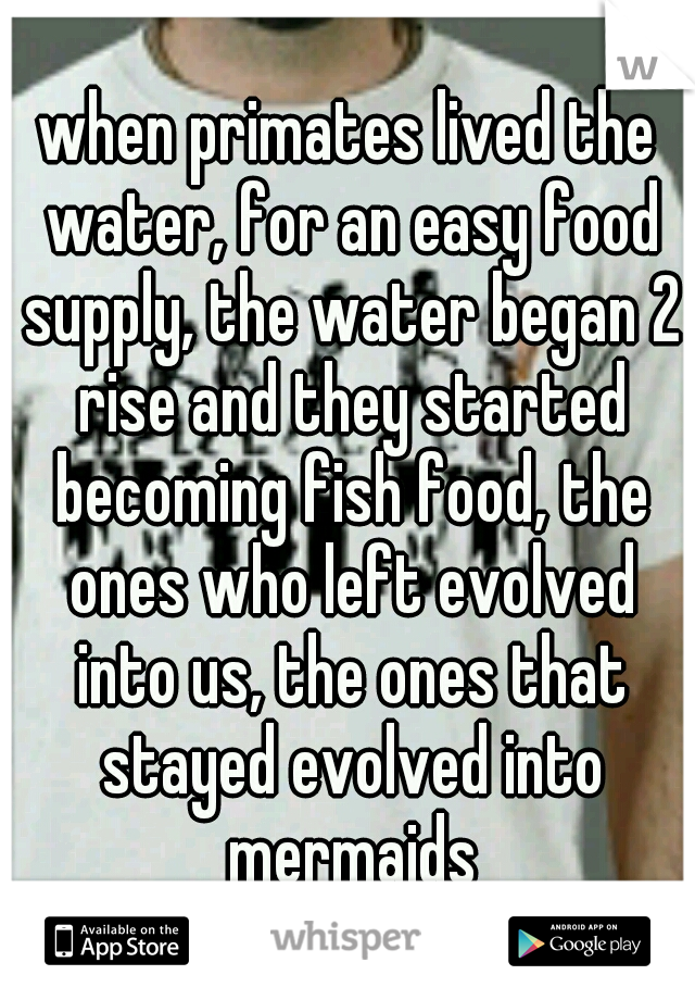 when primates lived the water, for an easy food supply, the water began 2 rise and they started becoming fish food, the ones who left evolved into us, the ones that stayed evolved into mermaids