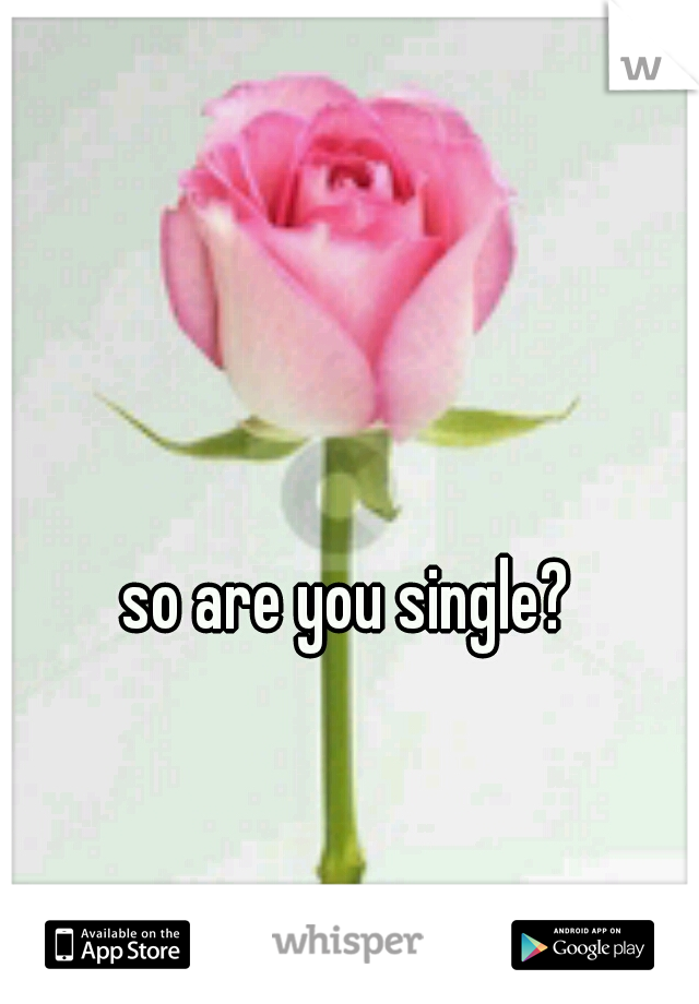 so are you single?