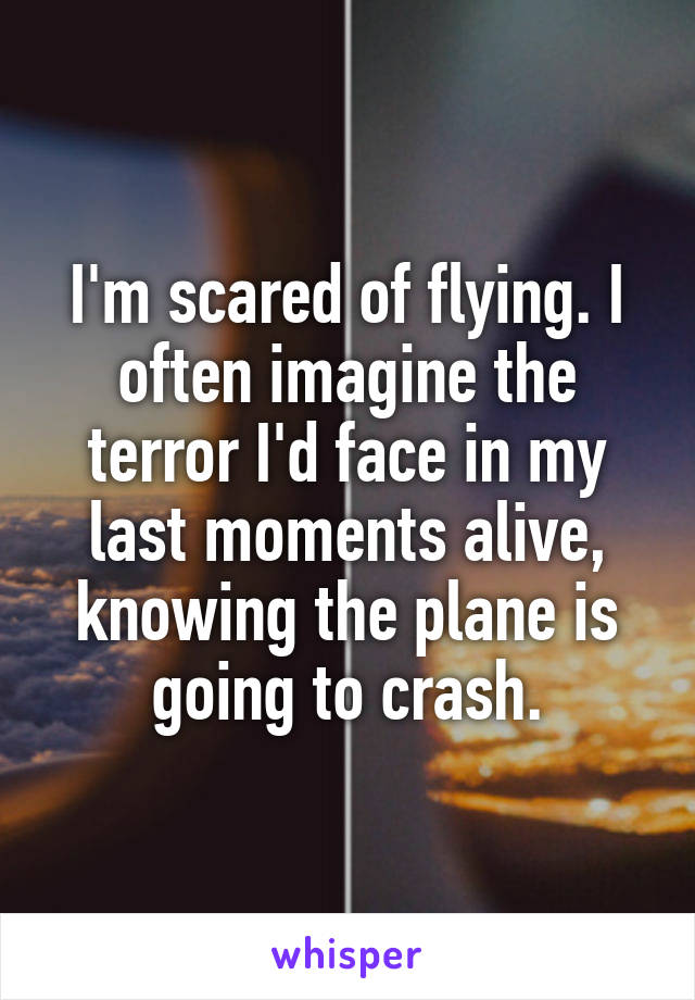 I'm scared of flying. I often imagine the terror I'd face in my last moments alive, knowing the plane is going to crash.
