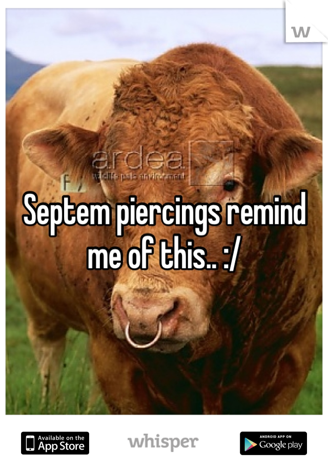 Septem piercings remind me of this.. :/