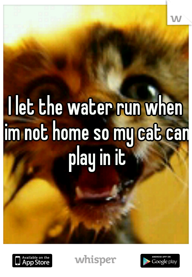 I let the water run when im not home so my cat can play in it