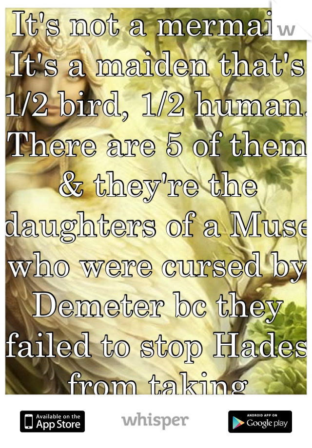 It's not a mermaid. It's a maiden that's 1/2 bird, 1/2 human. There are 5 of them & they're the daughters of a Muse who were cursed by Demeter bc they failed to stop Hades from taking Persephone. 