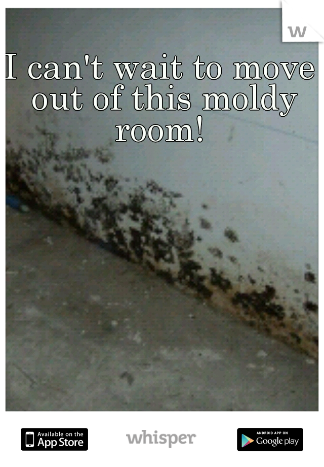 I can't wait to move out of this moldy room! 