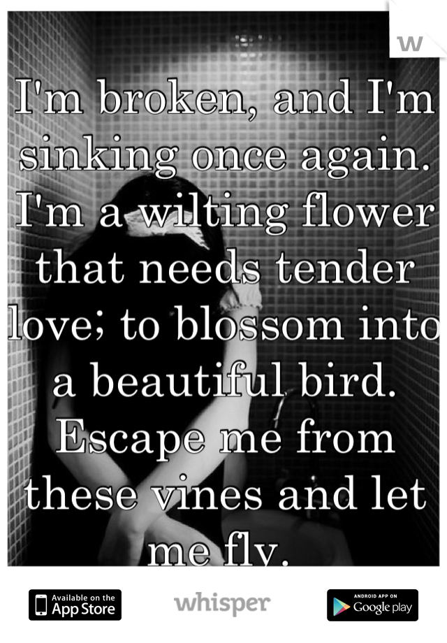 I'm broken, and I'm sinking once again. 
I'm a wilting flower that needs tender love; to blossom into a beautiful bird. Escape me from these vines and let me fly. 