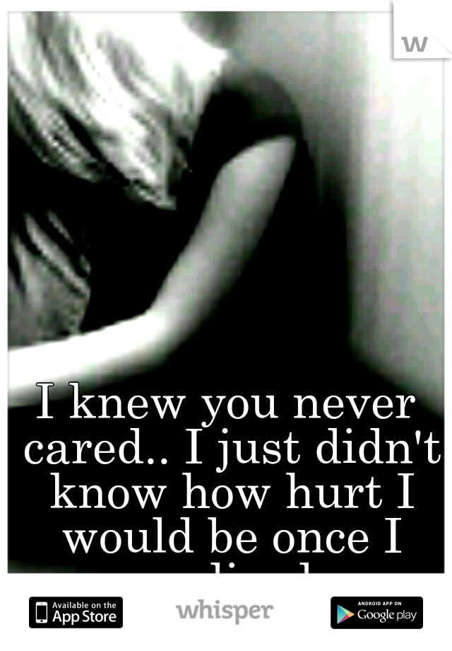 I knew you never cared.. I just didn't know how hurt I would be once I realized.