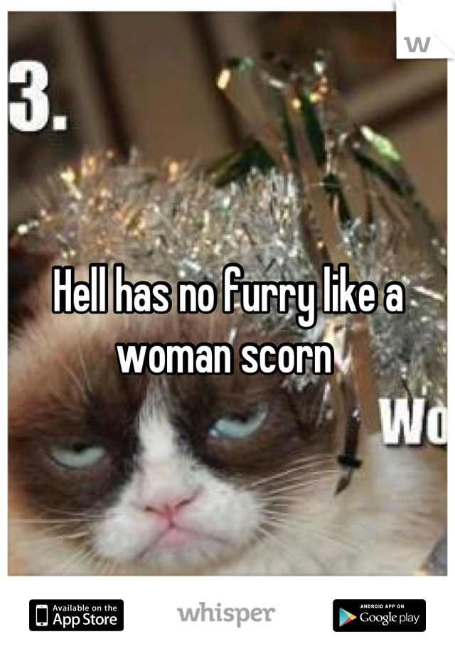 Hell has no furry like a woman scorn 