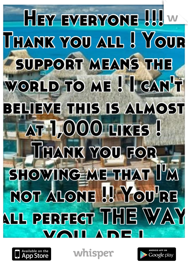 Hey everyone !!! Thank you all ! Your support means the world to me ! I can't believe this is almost at 1,000 likes ! Thank you for showing me that I'm not alone !! You're all perfect THE WAY YOU ARE !