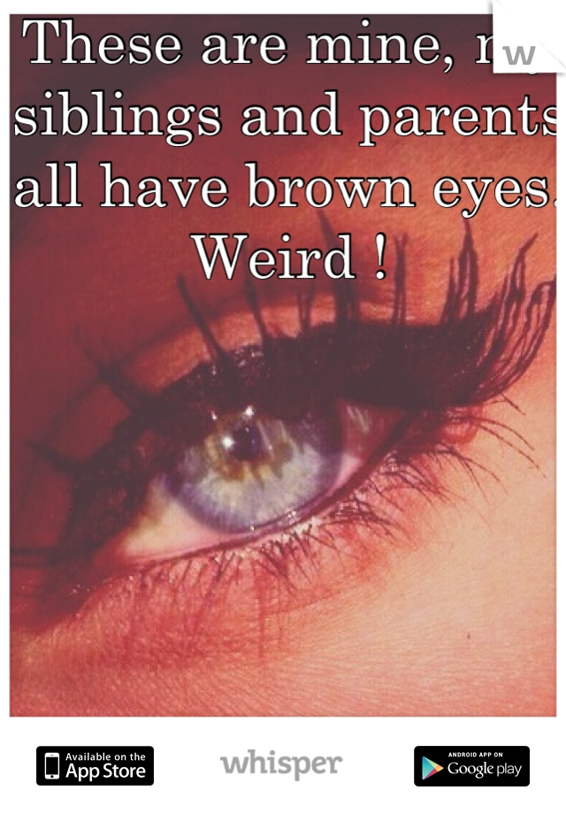 These are mine, my siblings and parents all have brown eyes. Weird !