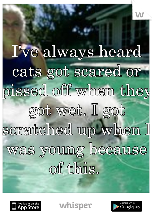 I've always heard cats got scared or pissed off when they got wet. I got scratched up when I was young because of this. 