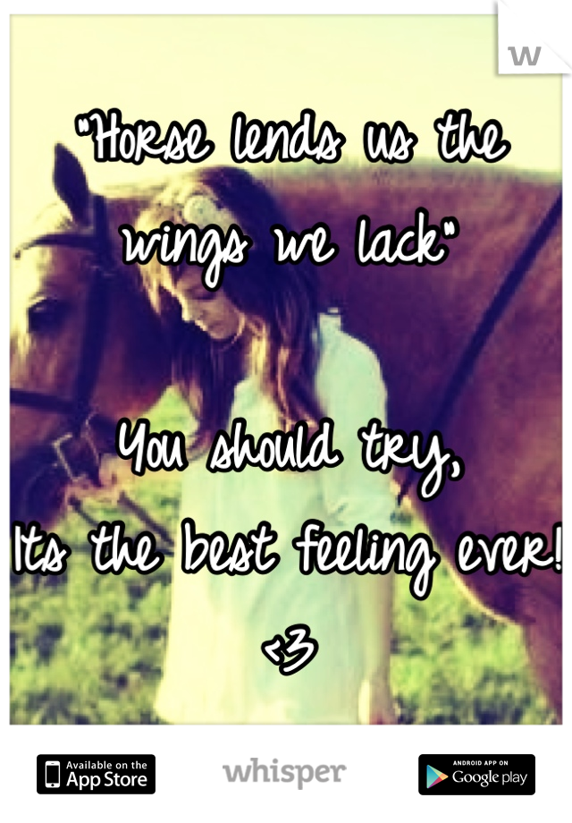 "Horse lends us the wings we lack"

You should try,
Its the best feeling ever! <3