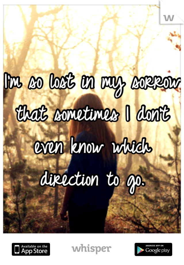I'm so lost in my sorrow that sometimes I don't even know which direction to go.