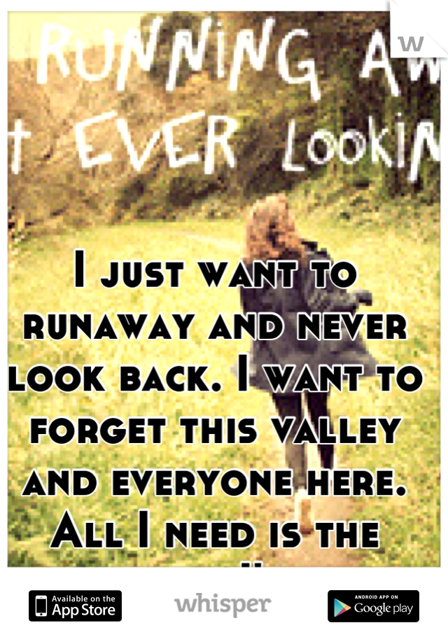 I just want to runaway and never look back. I want to forget this valley and everyone here. All I need is the money and I'm gone.