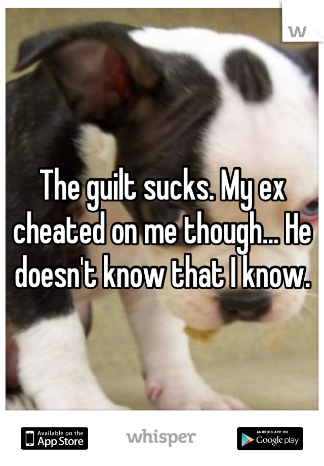 The guilt sucks. My ex cheated on me though... He doesn't know that I know.