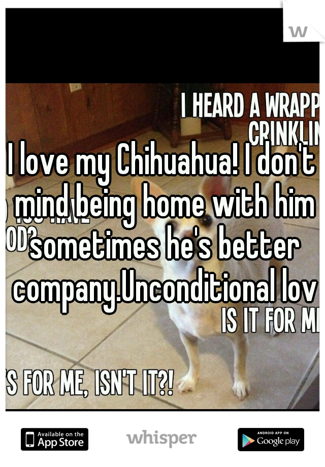 I love my Chihuahua! I don't mind being home with him sometimes he's better company.Unconditional love