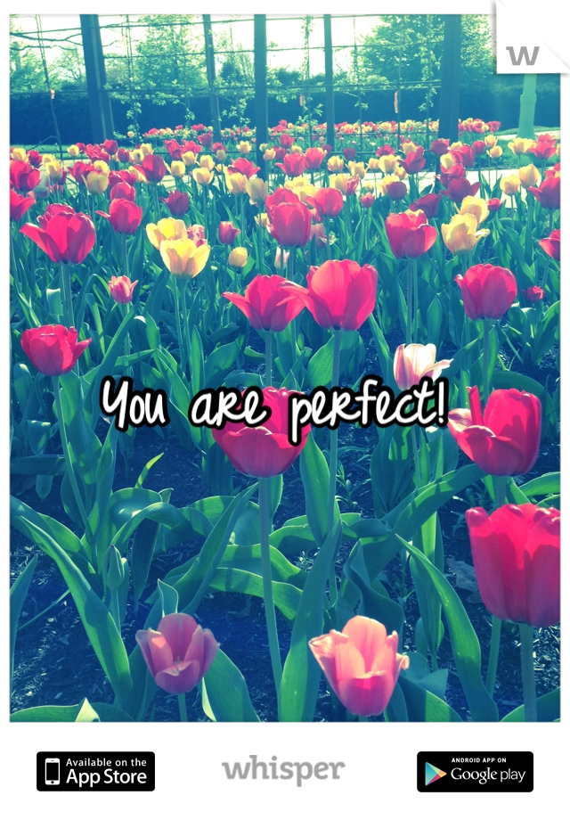 You are perfect! 