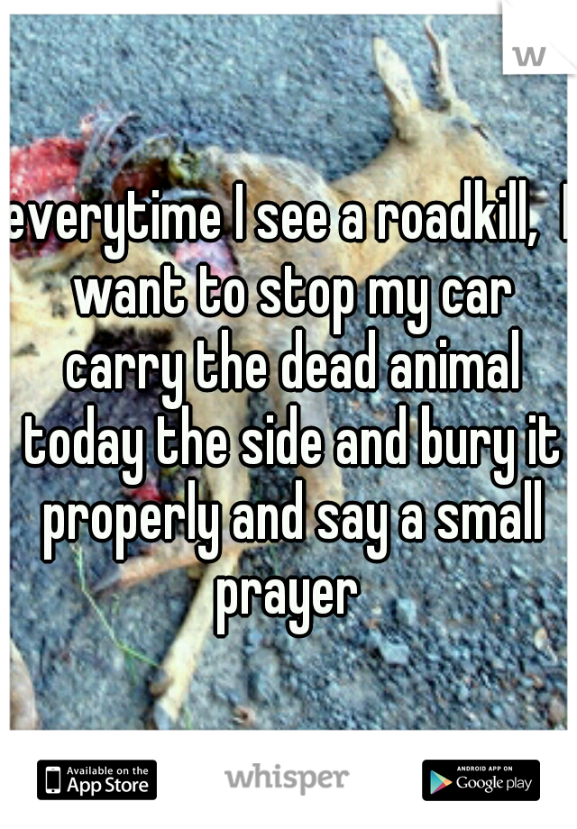 everytime I see a roadkill,  I want to stop my car carry the dead animal today the side and bury it properly and say a small prayer 