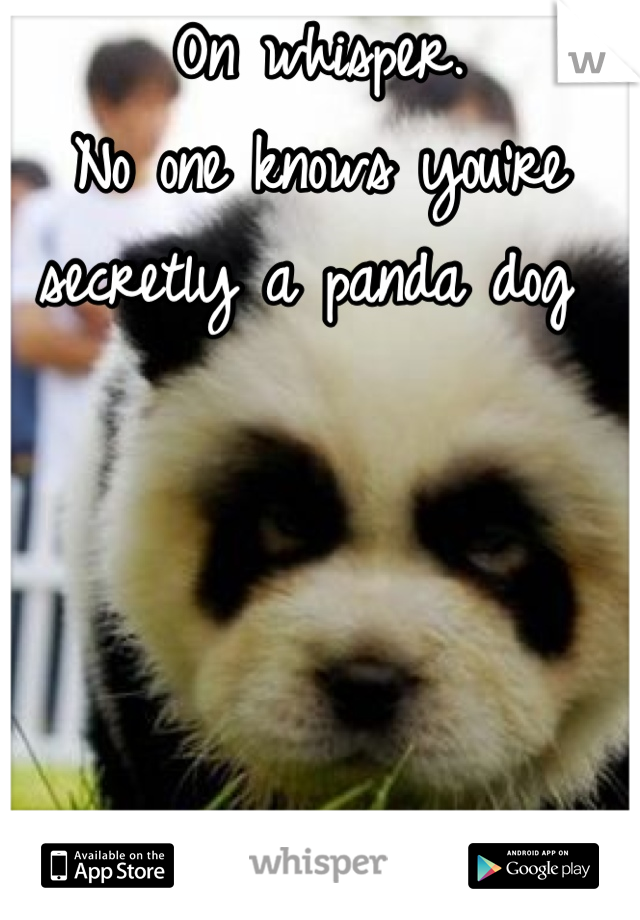 On whisper. 
No one knows you're secretly a panda dog 