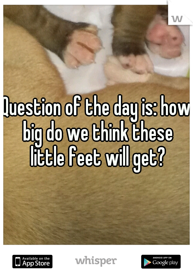 Question of the day is: how big do we think these little feet will get?