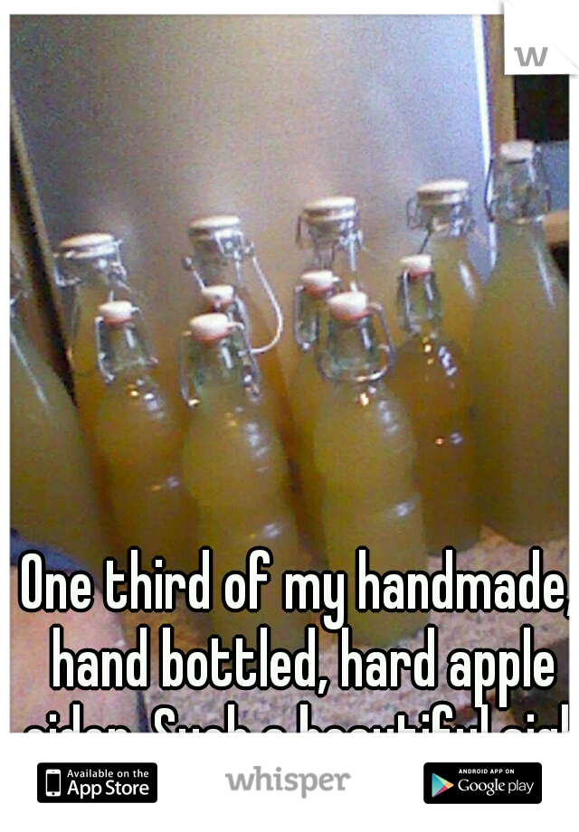 One third of my handmade, hand bottled, hard apple cider. Such a beautiful sight