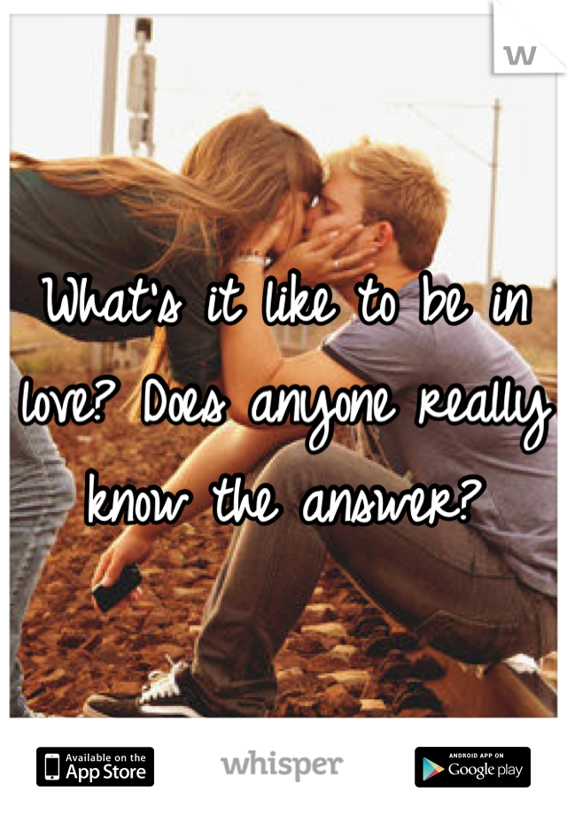 What's it like to be in love? Does anyone really know the answer?